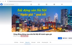 "Loạn" thông tin với hội, nhóm mua bán nhà trên Facebook