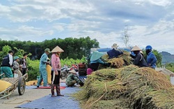 Hội Nông dân một xã ở Quảng Bình ra đồng gặt, tuốt lúa mang về nhà cho một nông dân ung thư đang nằm viện