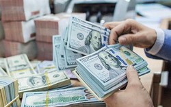 Giá USD hôm nay 14/8: Giá mua USD tại một ngân hàng bất ngờ "rơi" 137 đồng