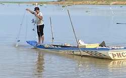 Một loài động vật ngoại lai sống dai trong lòng hồ Trị An ở Đồng Nai, dân bắt lên làm chả, phơi khô