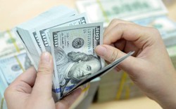 Giá USD hôm nay 16/8: Thế giới tăng, tỷ giá USD tại thị trường tự do giảm sâu