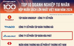 Hòa Phát vào top 3 doanh nghiệp tư nhân nộp ngân sách lớn nhất Việt Nam năm 2024