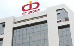 CIC Group (CKG) chấm dứt hợp tác với Đảo Vàng, "hé lộ" tiến độ thi công nhiều dự án