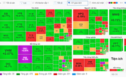 VN-Index vượt ngưỡng 1.270 điểm, cổ phiếu bất động sản "tỏa sáng"