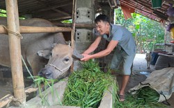 Thái Nguyên: Huyện Phú Lương "rót" hơn 14,5 tỷ đồng triển khai nhiều dự án giúp dân thoát nghèo