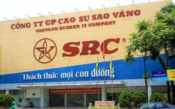 Cao su Sao Vàng (SRC) chốt ngày chi hơn 32 tỷ đồng trả cổ tức năm 2023