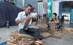 Loại cây ngoại lai hoang dã này ở Sóc Trăng dân gom lại làm cái gì mà nhà nào cũng có tiền đi chợ?