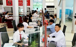 Agribank CN tỉnh Cà Mau đồng hành cùng nông dân: Sẵn sàng nguồn vốn, dịch vụ tài chính (Bài 3)