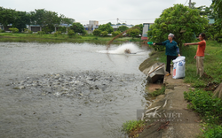 Nông dân Bắc Ninh vươn lên thành nông dân xuất sắc từ nguồn vốn Quỹ HTND của Hội Nông dân