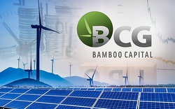 Bamboo Capital (BCG) rót vốn thành lập công ty con về trồng rừng