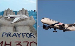 Nhà khoa học tuyên bố đã giải quyết được bí ẩn chuyến bay MH370: 'Nơi ẩn náu hoàn hảo'