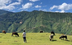 Vùng núi cao này ở Sơn La dân tình trèo lên chỉ để săn mây, ngày chả có mây hóa ra đẹp thế này đây