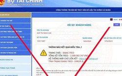 Bộ Tài chính cảnh báo website giả mạo