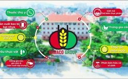 Dabaco: "Cá mập" Pyn Elite mua thêm 1,63 triệu cổ phiếu trong bối cảnh DBC lãi 6 tháng tăng đột biến