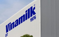 Vinamilk (VNM): Lợi nhuận tăng hơn 20%, trữ tiền gần 1 tỷ USD