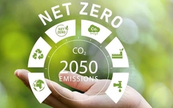 Net Zero: Xu hướng Toàn cầu và Vai trò tiên phong của các Công ty Viễn thông