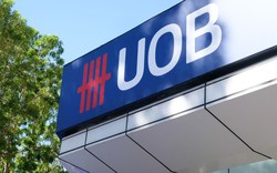 UOB: Tình trạng bán tháo trên thị trường trong mấy ngày qua là quá mức, Fed sẽ cắt giảm lãi suất