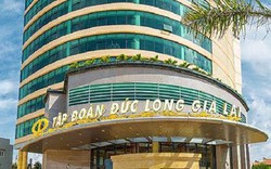 Đức Long Gia Lai (DLG) xin hoãn nộp báo cáo tài chính bán niên 2024