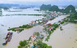 Ninh Bình: Cảnh báo sông Hoàng Long đạt đỉnh lũ trên mức báo động 3