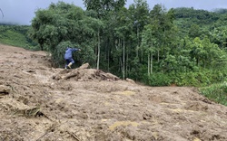 Lũ quét là gì, lũ quét đáng sợ như thế nào mà có thể cướp đi tính mạng nhiều người?