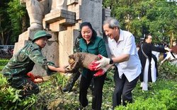 Bí thư Hà Nội cùng người dân dọn rác sau siêu bão Yagi