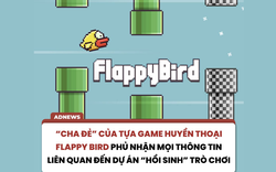 Flappy Bird bất ngờ "dậy sóng" trở lại: "Cha đẻ" Nguyễn Hà Đông nói "không liên quan", giới game Việt bình luận gì?