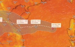 Thủ tướng ra công điện ứng phó với cơn áp thấp có khả năng thành bão, đang hướng về phía đất liền