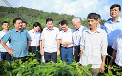 Cái bắt tay với nông dân: Khi tre già... măng mọc (Bài 2)