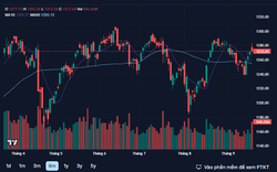 VN-INDEX vượt mốc 1.300 điểm trong năm nay hoàn toàn khả thi