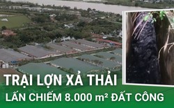 Từ việc xả thải “lòi ra” hàng loạt sai phạm đất đai của trại lợn tại Đông Hưng, Thái Bình (Video kỳ 2)