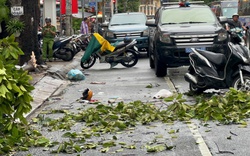 Cây xanh đổ ngã trong mưa lớn đè lên một người phụ nữ nhập viện trong tình trạng đa chấn thương