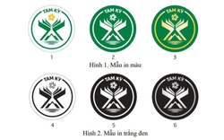 Logo thành phố Tam Kỳ: Biểu trưng sự khát vọng vươn lên phát triển của thành phố trẻ 