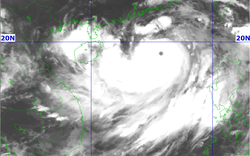 Tin khẩn cấp về cơn bão số 3: Đang giật cấp 17, thẳng tiến vịnh Bắc Bộ, đổ bộ đất liền vào ngày nào?