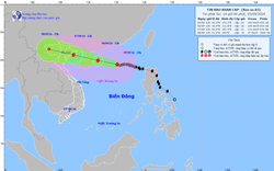 Chủ động phương án ứng phó với cơn bão số 3 Yagi