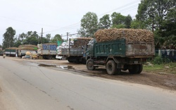 Trượt chân rơi xuống hầm chứa nước thải, 2 công nhân nhà máy tinh bột sắn ở Quảng Nam tử vong