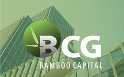 Bamboo Capital Phát Hành Cổ Phiếu Thưởng 800 Tỷ Đồng, Mở Rộng Vốn Điều Lệ Lên Trên 8.800 Tỷ