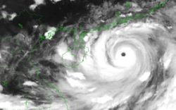 KHẨN: Siêu bão Yagi (bão số 3) cách Quảng Ninh 570km, đã cảnh báo đỏ, rủi ro thiên tai cấp độ 4
