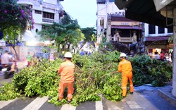 EVNHANOI triển khai phương án phòng chống bão số 3, đảm bảo an toàn cho hệ thống điện Hà Nội