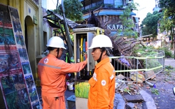 Mưa Bão Hoành Hành Hà Nội: Cây Đổ, Mất Điện Đối Mặt Với Tình Trạng Khẩn Cấp