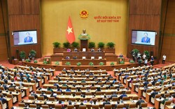 3 luật quan trọng liên quan đến bất động sản lọt top 10 sự kiện tiêu biểu của Quốc hội