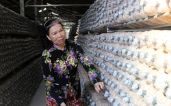 Một chi hội nông dân ở Bình Dương, lập hẳn ban kinh doanh bán hàng trên mạng, 75 thành viên toàn là tỷ phú