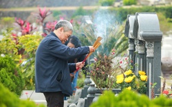 Vượt hàng trăm km, người Hà Nội mang đào quất đi tảo mộ, mời gia tiên về ăn Tết