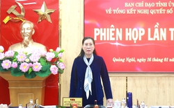 Bí thư Quảng Ngãi yêu cầu sớm đưa vào hoạt động 2 Đảng ủy mới, ấn định thời gian hợp nhất 2 Ban 