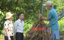 Loài thú hoang dã bay như chim, chỉ tốn tiền làm chuồng, chả phải cho ăn, nuôi thành công ở Bình Phước