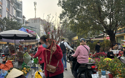 Nhộn nhịp thị trường đồ cúng ông Công ông Táo, giá một quả phật thủ lên tới 2 triệu đồng