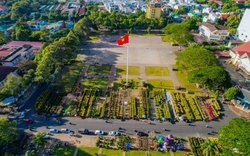 Chợ hoa xuân này ở Đắk Lắk mua bán đìu hiu, bất ngờ "loài hoa quý tộc" lại lên ngôi, khuân giò to, giò nhỏ