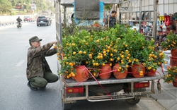 Lao động phấn khởi chờ Tết làm công việc kiếm thu nhập cao này