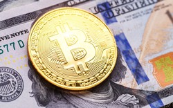 Triển vọng đồng Bitcoin năm 2025, năm đầu tiên của thời Trump 2.0