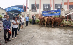 Các mô hình sản xuất, kinh doanh mới ở huyện này của Thái Nguyên giúp dân khá giả, làng xóm trù phú