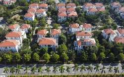 Chuyên gia dự báo: BĐS công nghiệp, nhà ở, phân khúc nào sẽ có nhiều cơ hội hơn cho nhà đầu tư năm 2025?